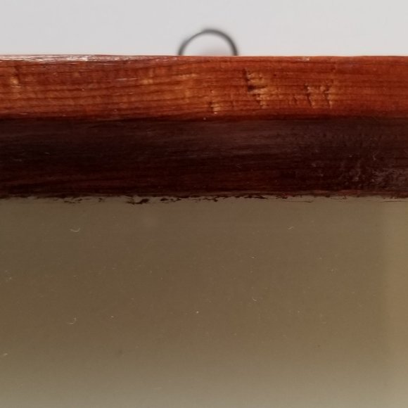 #B2 1 Rare Collectible Real Far East Russian Alpine Black Swallowtail Butterfly - Picture 9 of 13